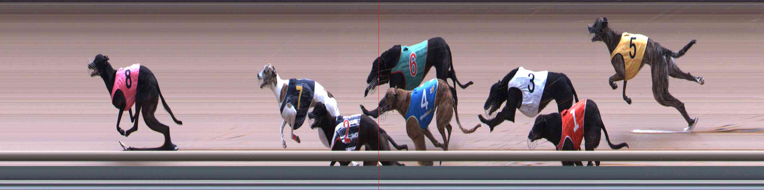 Race result finish photo